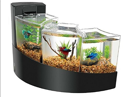 small modern fish tank