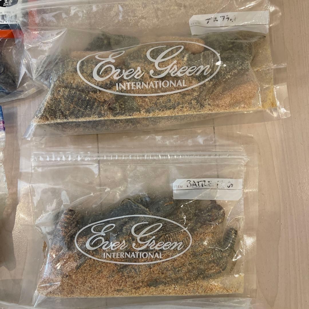 RAID JAPAN, Deps, Gary Yamamoto - Image 2