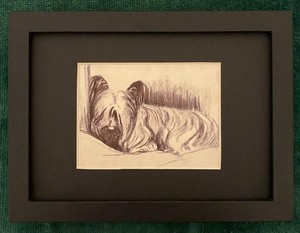 Skye Terrier MATTED | FRAMED | READY TO GIFT - 1986 Vintage Dog Art Print