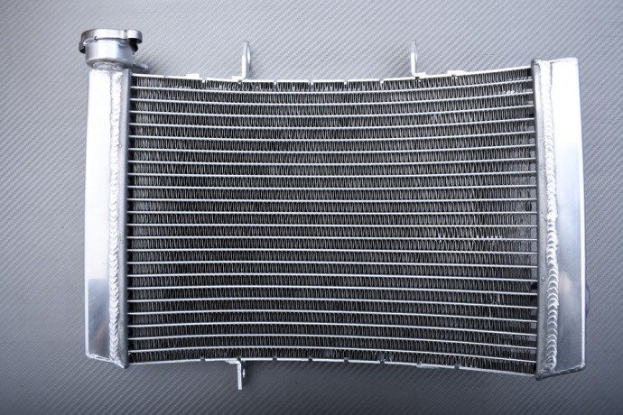 Radiateur eau Racing Triumph Street Triple 675 L67LR refroidissement