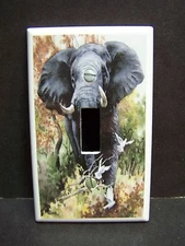 MIGHTY BULL ELEPHANT #1   LIGHT SWITCH OR OUTLET COVER