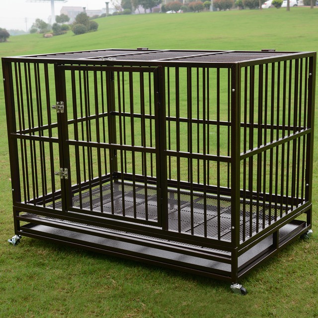 tray for xl dog cage