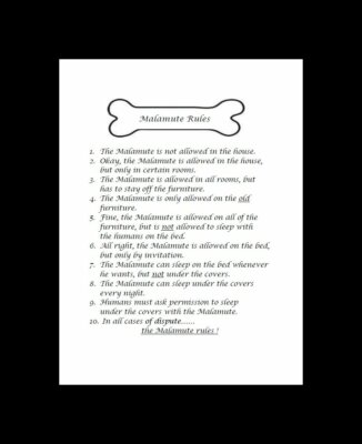* Alaskan Malamute ''Rules'' - CUSTOM MATTED - Dog Art Print : GIFT 