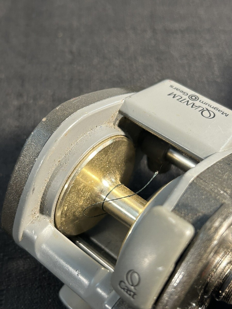 QUANTUM DYNAMAG 1310 MGC BAITCASTING REEL 5.1:1 | eBay