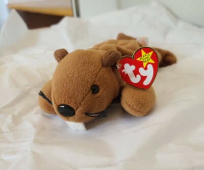 Bucky the Beaver TY Beanie Baby  - AUTHENTICATED 