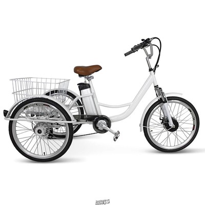 3 wheeled electric bike