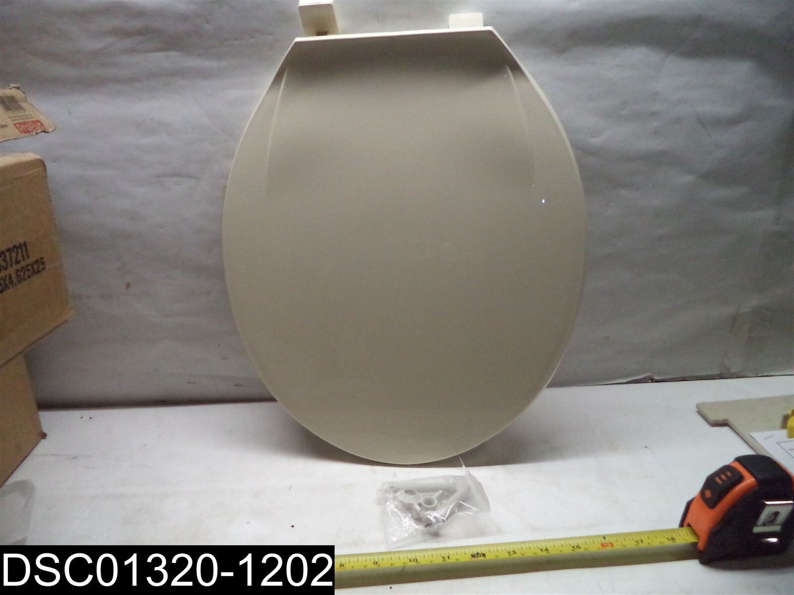 S Bone Color