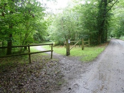 Foto A2 Erlaubnis nur Zugang für Pferde ins Schweinewald Ifold Schweinewald ist ein c2011