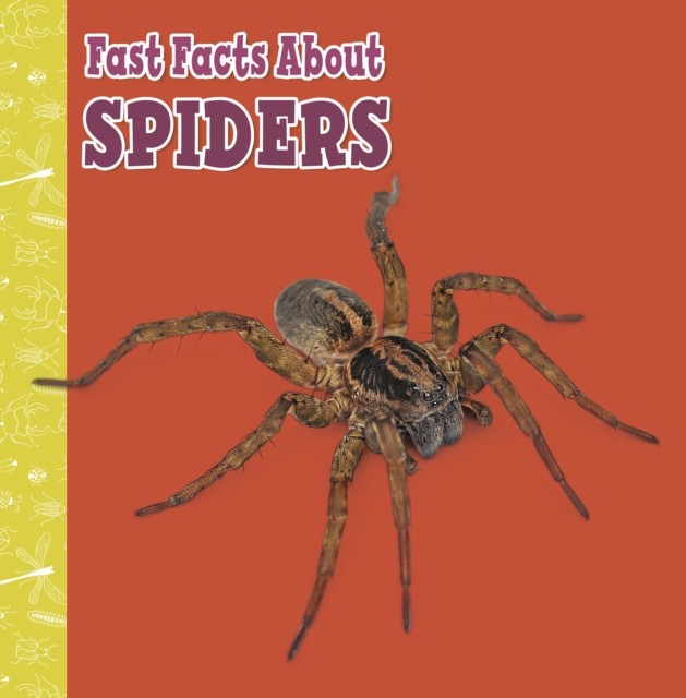 Fast Facts About Spiders by Julia Garstecki-Derkovitz (Paperback Book)