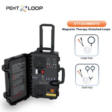 Equine PEMF Therapy Horses Massage Machine PMST LOOP Magnetic Physiotherapy