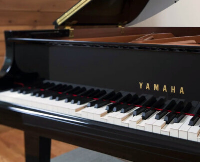 Piano Bar Favorites for PianoDisc PianoCD PDS-228 CFX PDS-128 Opus7 Player Piano