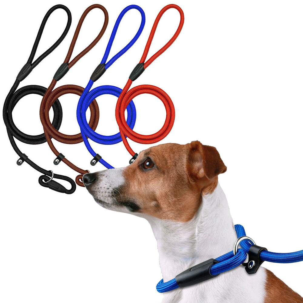 Is A Slip Lead Ok For A Puppy