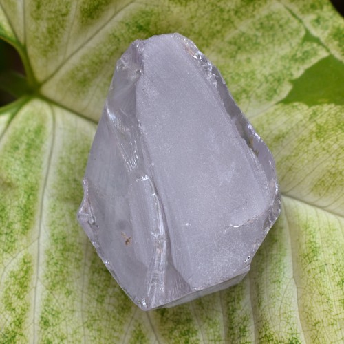 321.00 Ct NATURAL Sapphire Earth Mined CERTIFIED White Loose Gemstone ROUGH - Picture 4 of 14