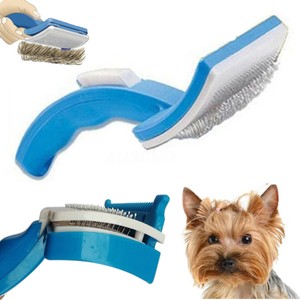 zoom dog grooming