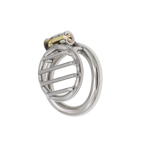 Stainless Steel Flat Chastity Lock Short Mesh Cage Bird Cage Restraint Toys - Picture 4 of 10