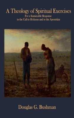 Douglas G. Bushman Douglas G Bushm A Theology of Spiritual Exercis (Taschenbuch)