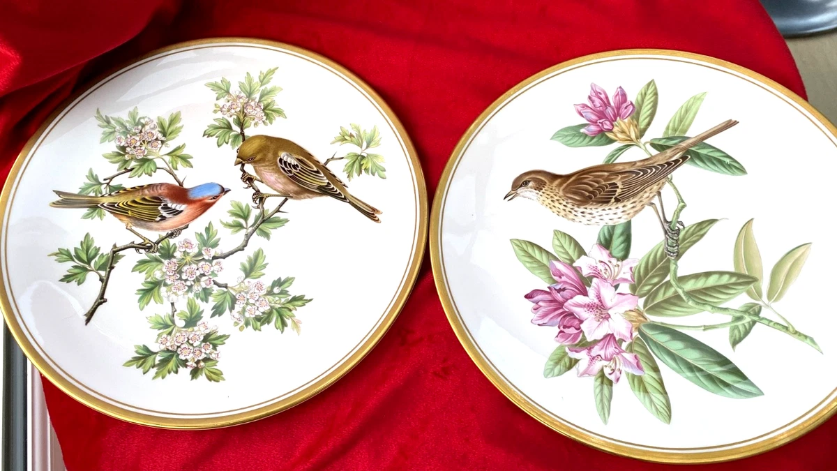 【希少品】スポード ★Garden Birds★Chaffinch 飾り皿④ 希少品】スポード ☆Garden Birds☆Chaffinch 飾り皿④ 希少品