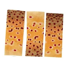  3PCS Fishing Finger Tab Protector, Polyester Fishing Stripping Single Finger 