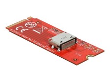 Delock M.2 M Key for 1 x OCuLink SFF-8612 Converter M.2 SFF-8612 64106