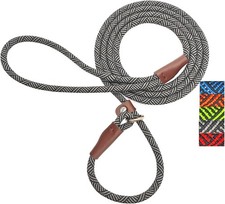 Slip Lead Dog Leash, 1/ No Pull Slip-on Training Leash for Small and