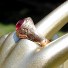 Old 14K Yellow Gold  Ruby Ring  Sz 8  12.4 gram melt value 971.00 — photo 5