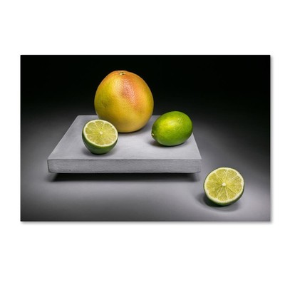 1X00666-C2232GG Canvas Art, 22x32