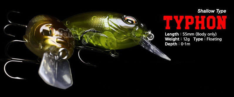 6 Poissons Nageurs Truite + Boîte offerte