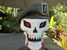 Vietnam War US Special Forces Green Beret