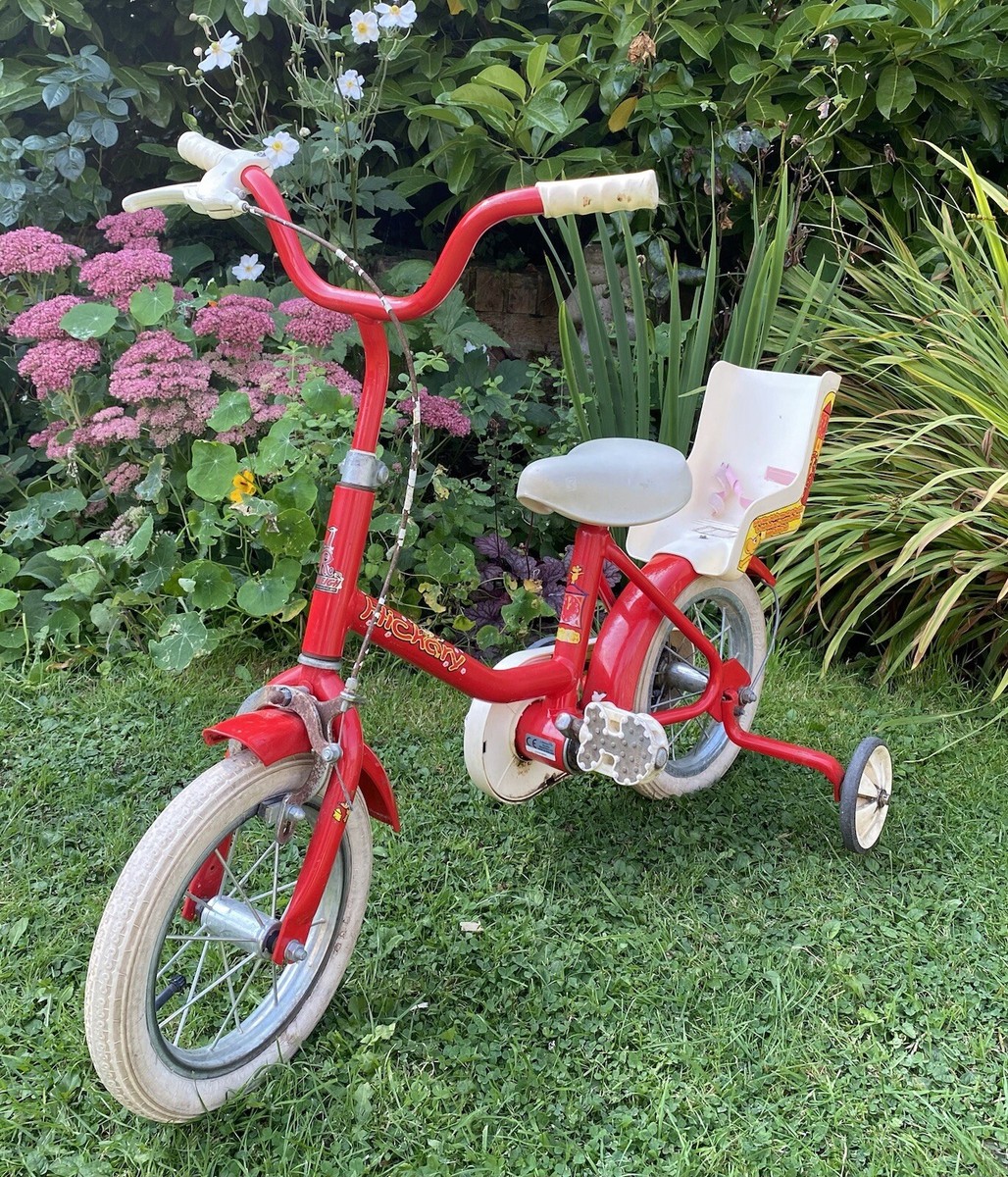 Vintage Raleigh Childrens Bike Vintage 1980s Raleigh Wolf Cub BMX - Main Image