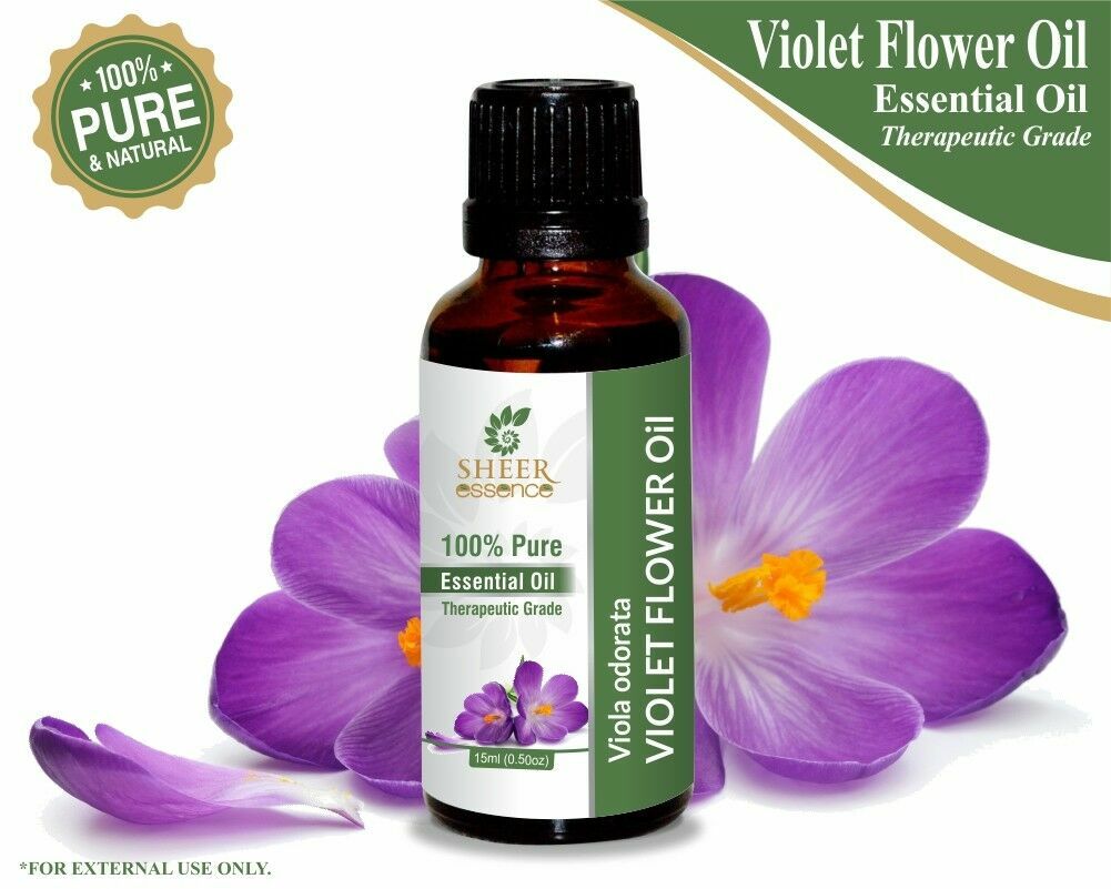 Violet Flower Essential Oil Best Flower Site