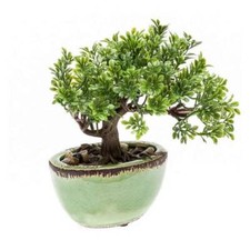 künstlicher Bonsai FICUS im Keramik Topf H. 19cm grün Emerald Zimmerpflanze WA