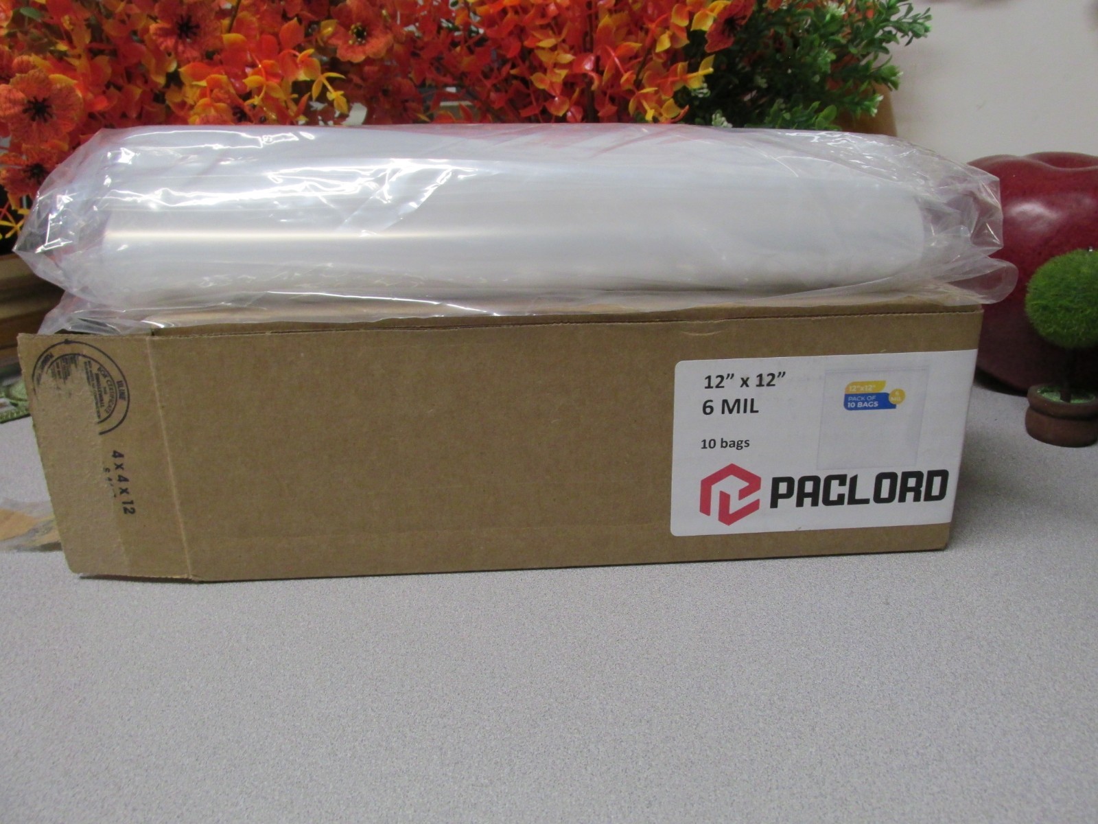 PACLORD 10 Clear Bags Reclosable 12"x12" 6mil Open Box