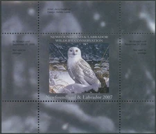 2007 CANADA-NEWFOUNDLAND & LABRADOR CONSERV, SNOWY OWL, S.S. IN BOOKLET VD#NLW14
