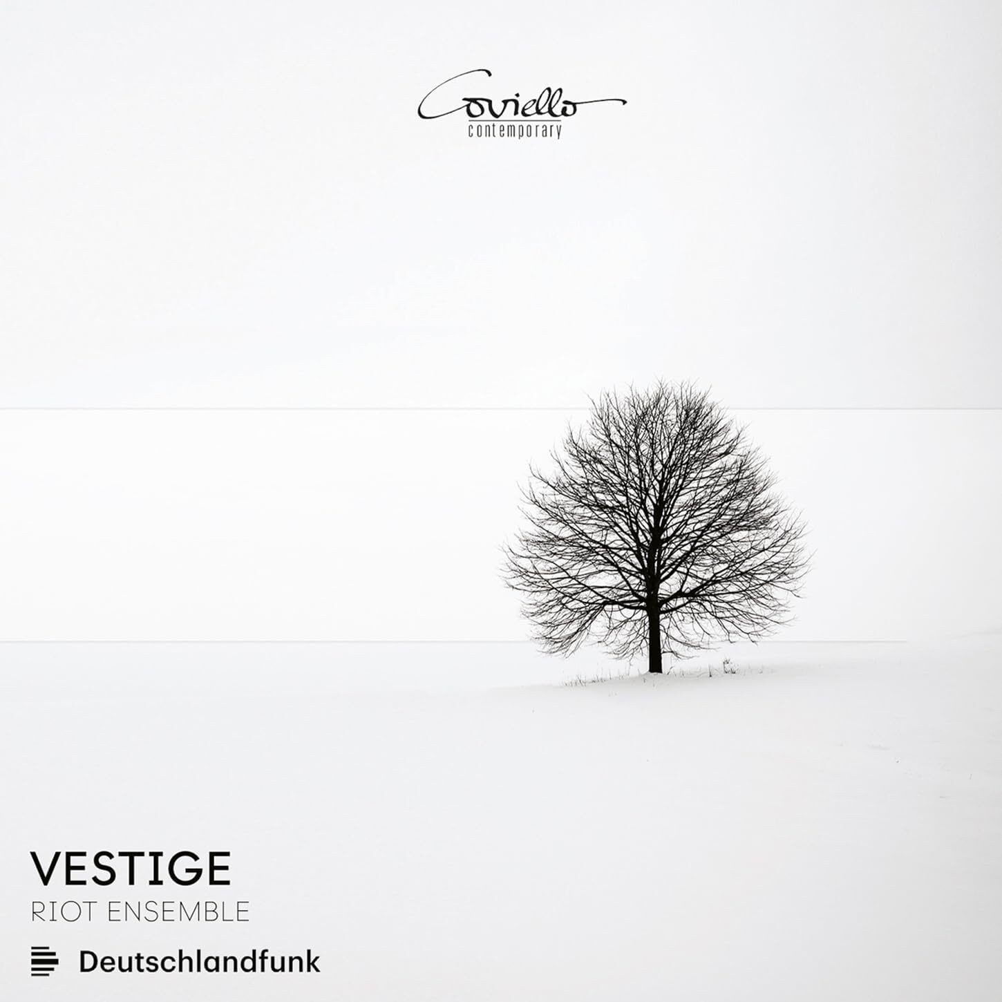Riot Ensemble Riot Ensemble: Альбом Vestige (CD)