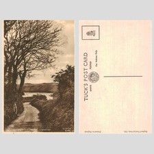 Vintage Postcard - Path to Eilian Bay, Llaneilian, Anglesey UNPOSTED