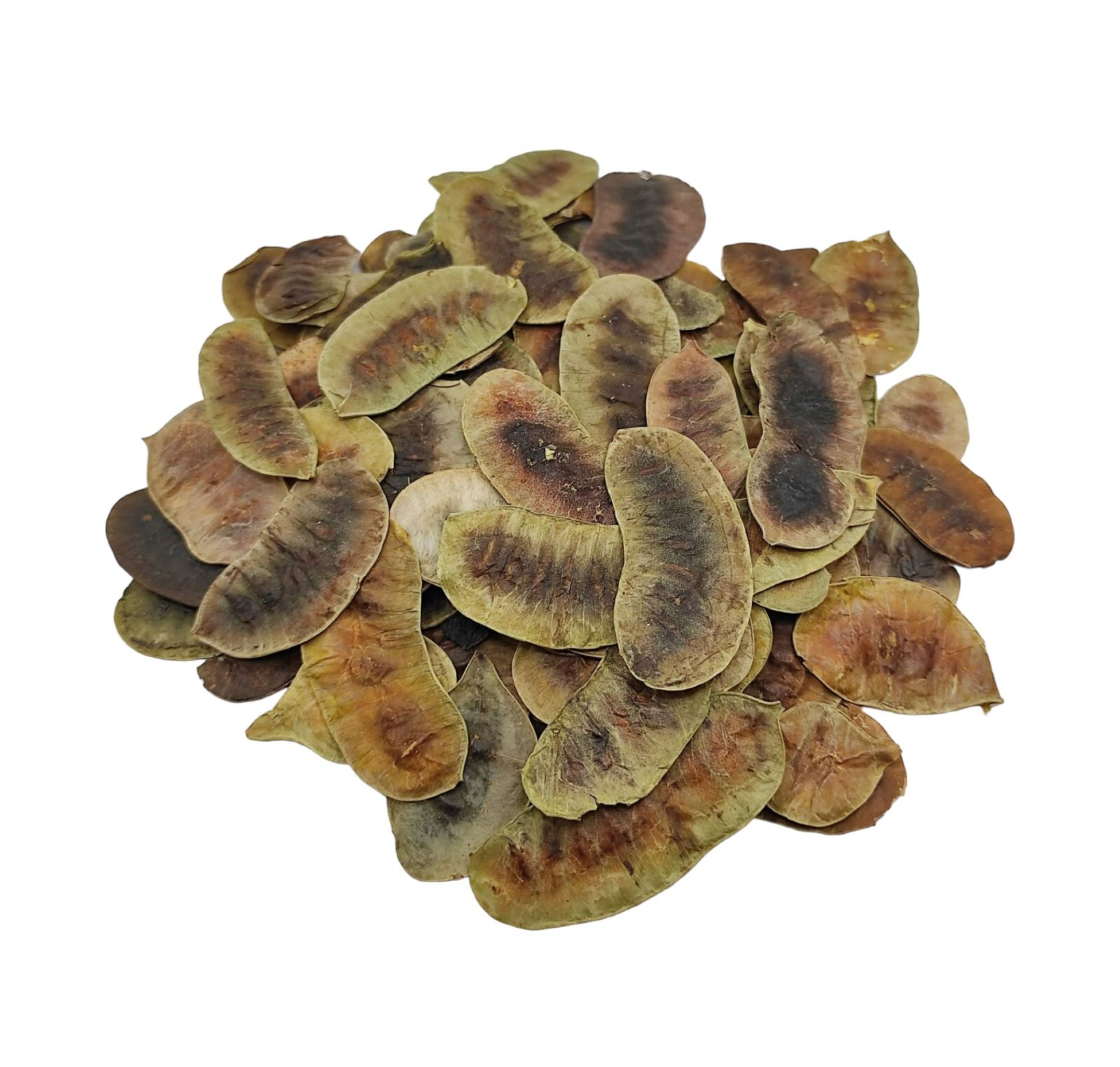 Dried Senna Pods Herbal Tea 950 g (33.5oz) - Premium Quality | Senna Alexandrina