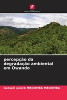 Gemael Yanick Mboumba Mboumba | PercepçãO Da DegradaçãO Ambiental Em Owando | De