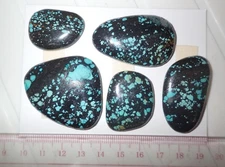 Turquoise Stone Flat Free Form Cabochon 209.5 Carat 5 pieces 41.9 gram