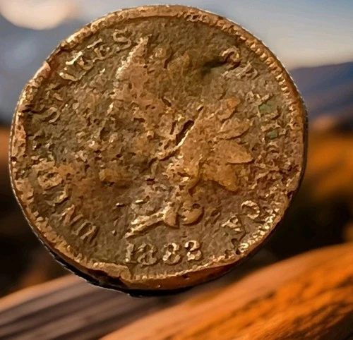 1882 Indian Head Cent Actual Coin Shown - A13