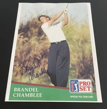 Brandel Chamblee PGA Golf Pro: Hand Signed Sport Photograph 8 x 11 Inches / KSK