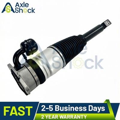 Rear Left Air Suspension Shock Strut Fit 2004-2006 VW Phaeton W12 V8 3D0616001G