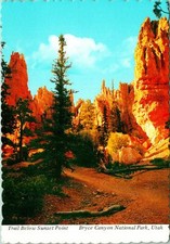 Bryce Canyon National Park UT Trail Below Sunset Point Postcard Unused (28179)