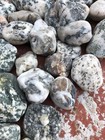 42 Natural Pacific Ocean Beach Stones Rocks Hand Picked from California Beaches — photo 3