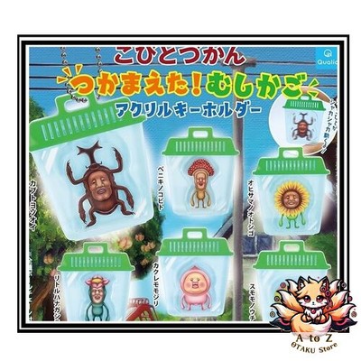 NEU [Qualia] Kobito Zukan gefangen! Insektenkäfig Acryl Schlüsselanhänger [6e...