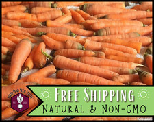 6,300 Carrot Seeds Little Finger Vegetable Gardening Seed, Heirloom, Non-GMO
