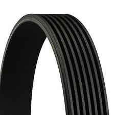 CONTINENTAL CTAM Keilrippenriemen 7PK1629 für BMW E39 E31 E38 F02 F01 F03 F04 X6