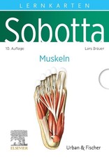 Sobotta Lernkarten Anatomie: Muskeln, Lars Bräuer