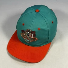 Vintage 90s NFL Miami Dolphins Taz Looney Toon Snapback Hat Drew Pearson Gameday