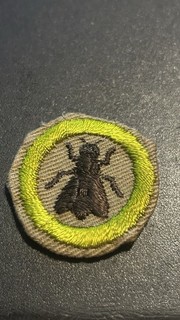 BOY SCOUT MERIT BADGE TYPE C BEE KEEPING 4 LEGS 1936 1939