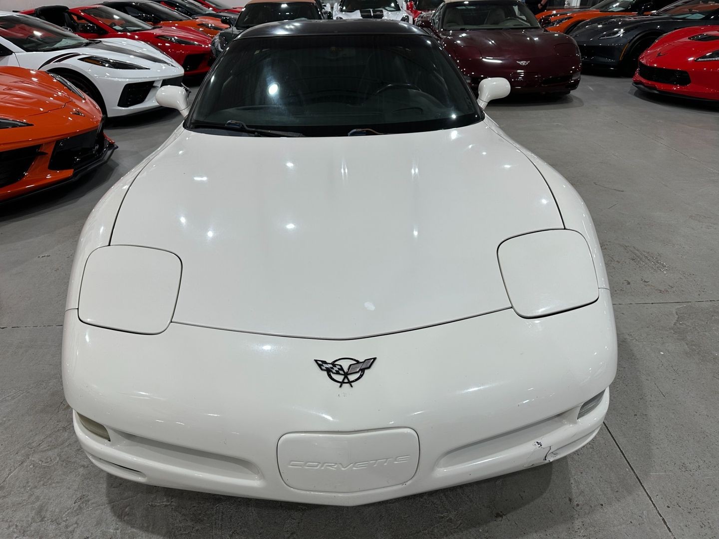 2002 [40U] Speedway White Chevrolet Corvette   | C5 Corvette Photo 8